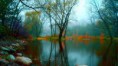 Cuento ambiental #10